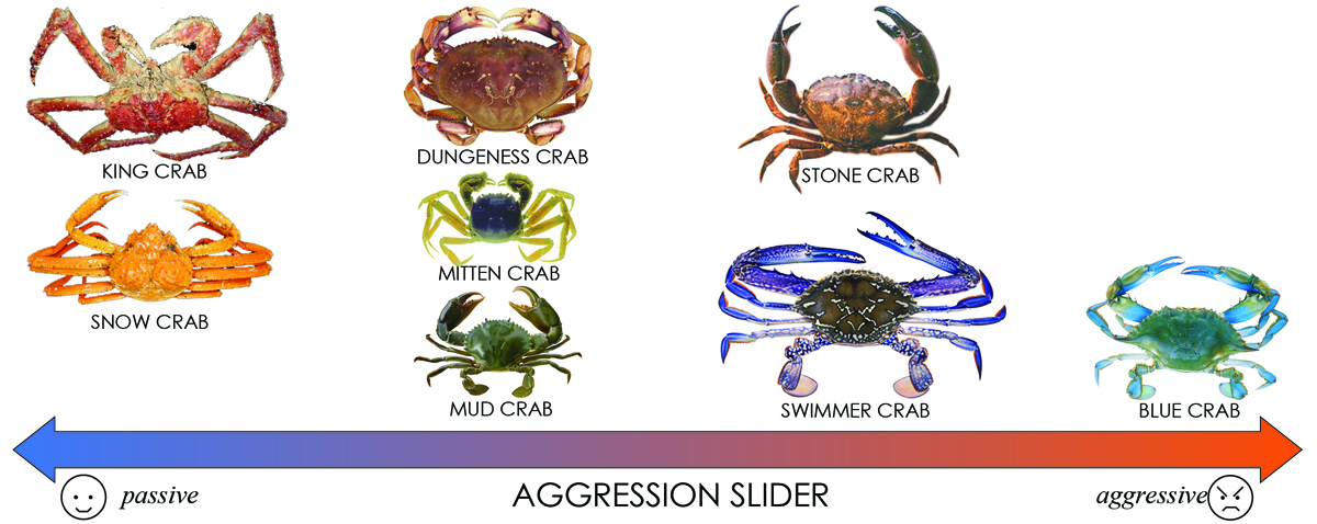 Crab Species Chart