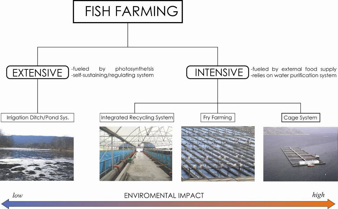 Types Of Crab Farms